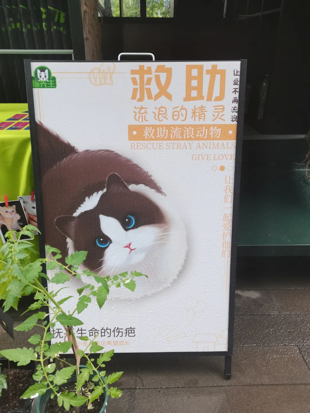 垃圾分類運(yùn)營(yíng)方案、智能分類設(shè)備廠家.jpg